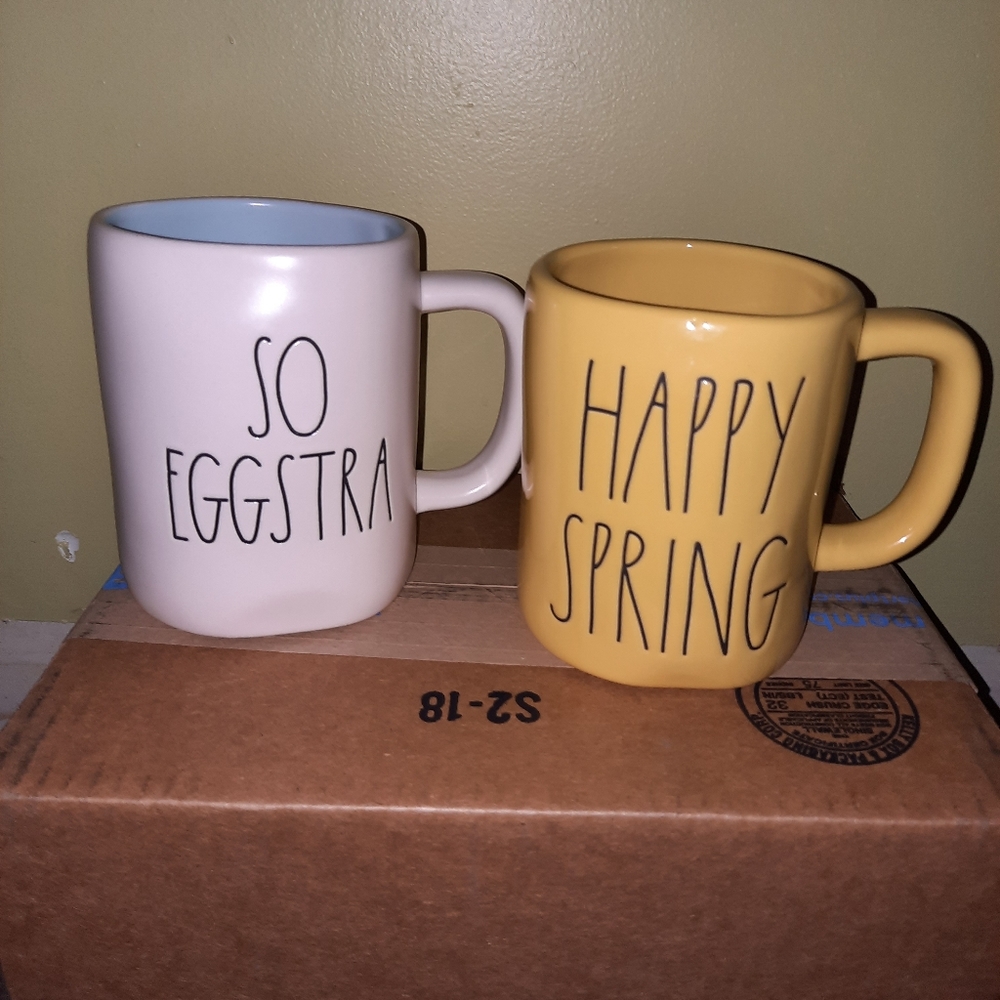 Rae Dunn Spring Mug Set